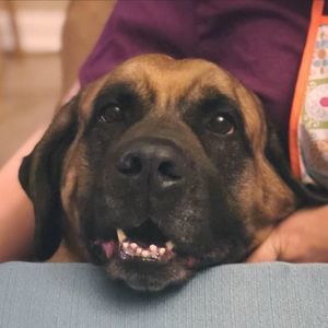 Meet your Posher, Becca